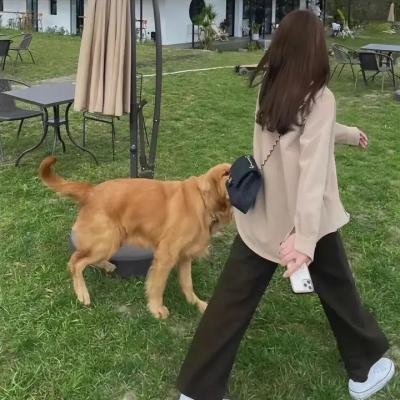 自杀小队